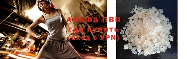 прущие грибы Балабаново