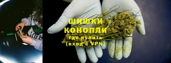 прущие грибы Балабаново