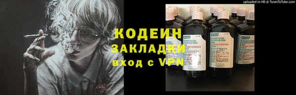 прущие грибы Балабаново