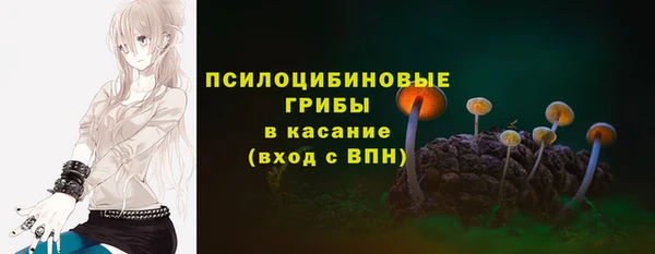 ECSTASY Балахна