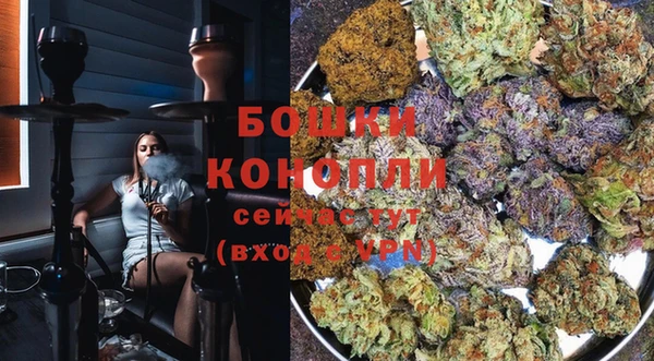 прущие грибы Балабаново