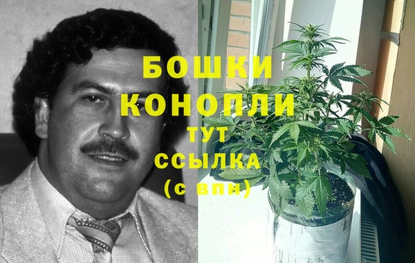 прущие грибы Балабаново