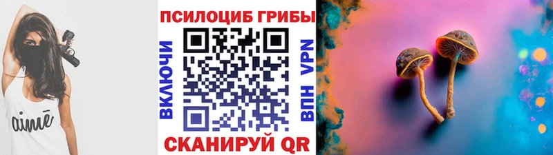 Псилоцибиновые грибы мицелий  MEGA как войти  Кремёнки 